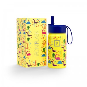 Iron Flask 14 Oz Kids Water Bottle Dino Mates | 431XZSOKJ