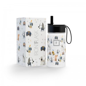 Iron Flask 14 Oz Kids Water Bottle Puppy Land | 481NLFYVI