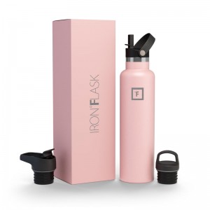 Iron Flask 24 Oz with Straw Lid Narrow Mouth Bottle Rose | 917WHKMFB