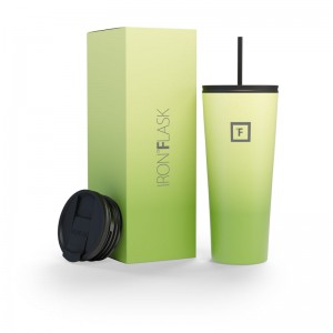 Iron Flask 32 Oz Classic 2.0 Tumbler Light Green | 283WCFSEA