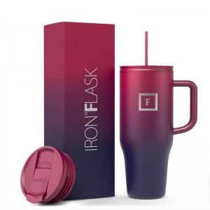 Iron Flask 32 Oz Co Pilot Tumbler Dark Multicolor | 981MOHTYG