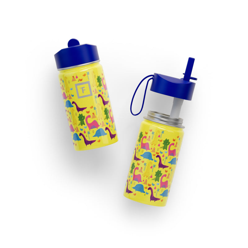 Iron Flask 14 Oz Kids Water Bottle Dino Mates | 431XZSOKJ