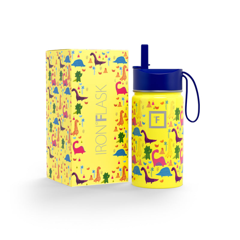 Iron Flask 14 Oz Kids Water Bottle Dino Mates | 431XZSOKJ