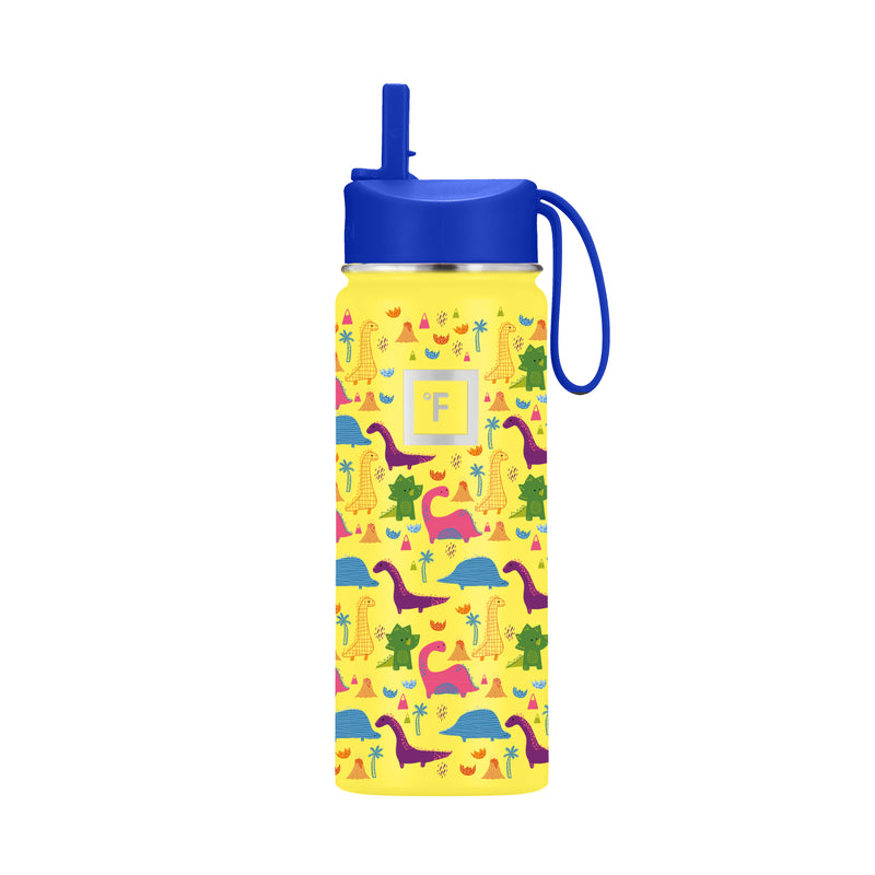 Iron Flask 18 Oz Kids Water Bottle Dino Mates | 609FHKPBM