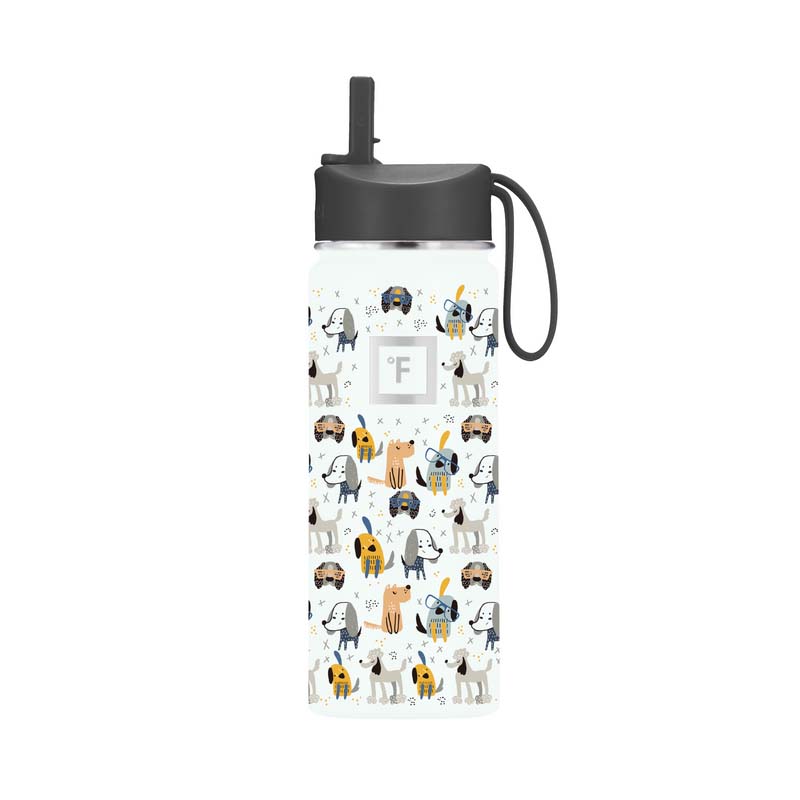 Iron Flask 18 Oz Kids Water Bottle Puppy Land | 730YLEKJF
