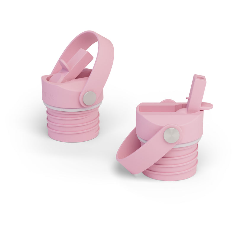 Iron Flask Straw Set For Narrow Mouth Water Bottles Lid Rose | 958GBMNKA